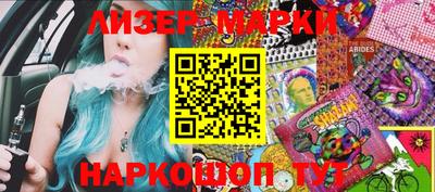 спайс Кингисепп