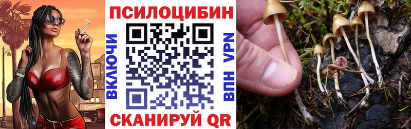 Галлюциногенные грибы MAGIC MUSHROOMS  Чапаевск 