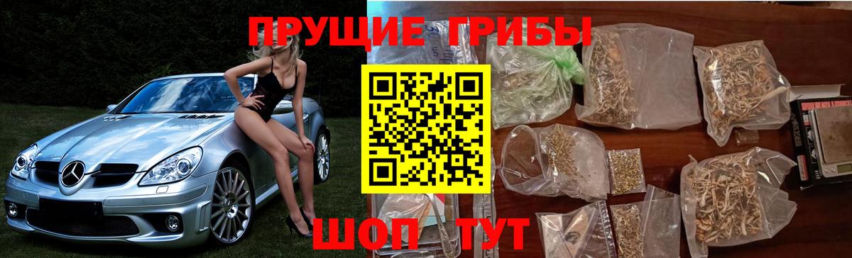 что такое наркотик  Псилоцибиновые грибы Psilocybine cubensis  Чапаевск  Псилоцибиновые грибы мухоморы 