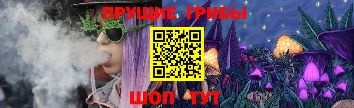 Псилоцибиновые грибы Cubensis Чапаевск